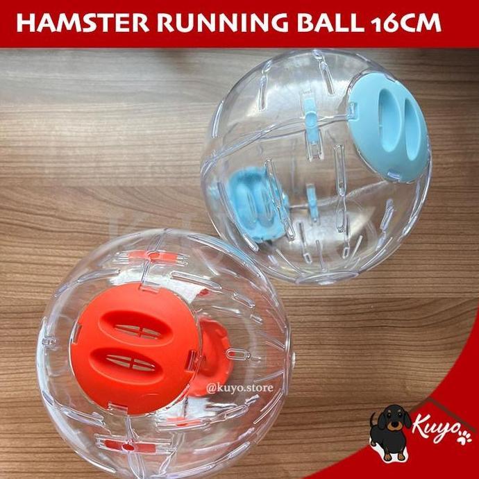 Hamster Running Ball 16cm - Mainan Roda Bola Lari Transparan Jogging