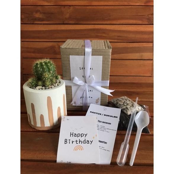 Promo Velantine Hampers Sukulen / Kaktus | Gift birthday, graduation, valentine dan hari spesial lai