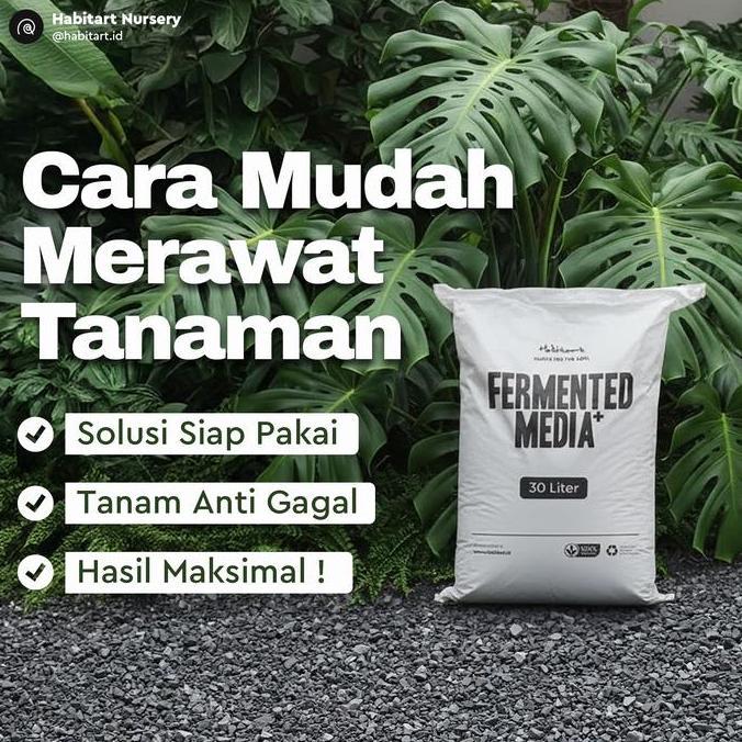 Taman- Habitart Fermented Media Plus 30L - Media Tanam Fermentasi Aroid Siap Pakai | Metan Steril Po
