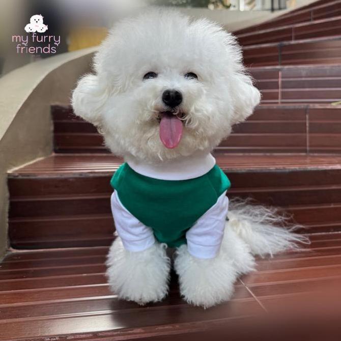 Sale Korean School Uniform For Dogs Baju Seragam Sekolah Anjing Made In Korea