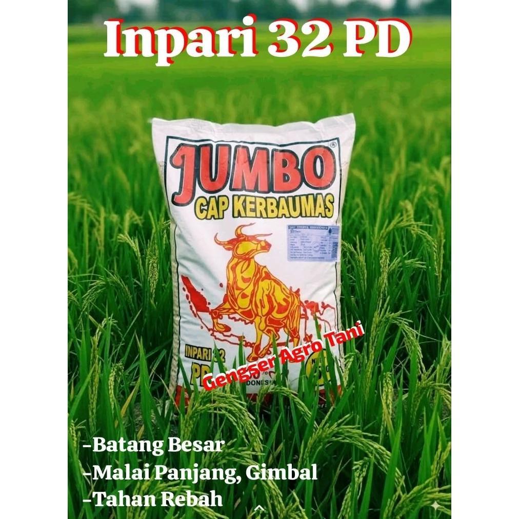 Bisa Cod Terlaris...  Bibit Benih Padi Inpari 32 Pd Jumbo Cap Kerbaumas Jaminan Original >>