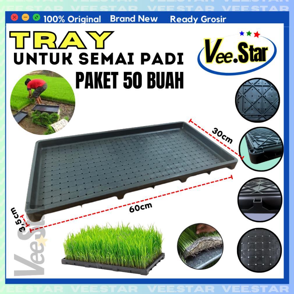 Bisa Cod Tray Semai Bibit Padi / Alat Semai Padi / Rice Seedling 50Tray .....
