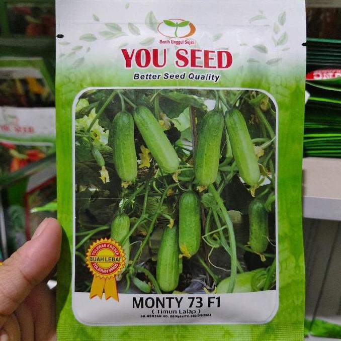 PROMO Benih timun lalap MONTY 73 20 gram timun baby dari you seed
