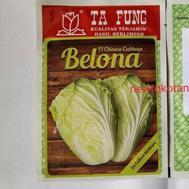 PROMO Benih kubis sawi putih BELONA F1 10 gram chinese cabbage hibrida dari tafung belona