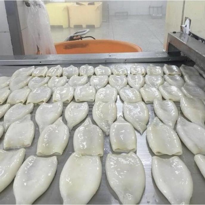 toyshanna55 - cumi kupas tube / cumi tube kupas /tube squid / 1kg / cumi tube frozen