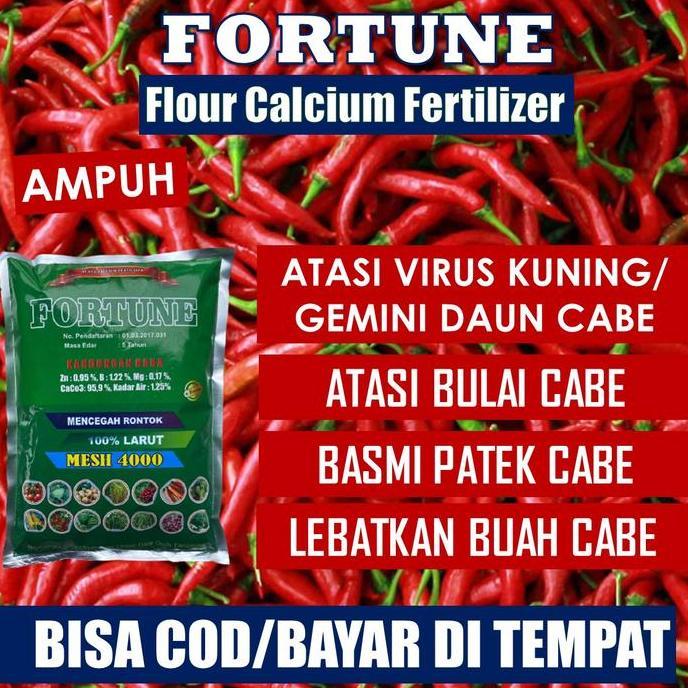 Indah- Fortune 1 Kg Pupuk Kalsium Obat Cabe Biar Buah Lebat - Obat Cabe Daun Keriting Dan Kuning - O