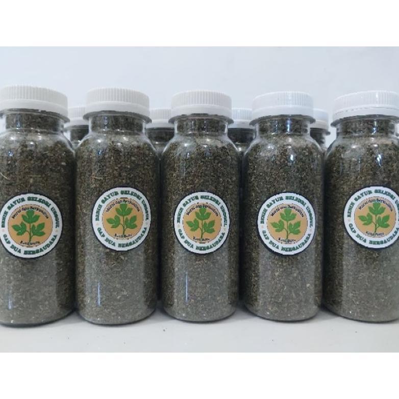 Benih/ Biji Sayur Seledri Bibit Seledri Asli Kota Batu Malang Jawa Timur Hidroponik Murni Organik Be