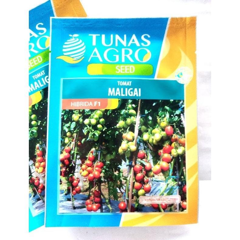Benih tomat MALIGAI 5gram, tomat hibrida Tunas Agro
