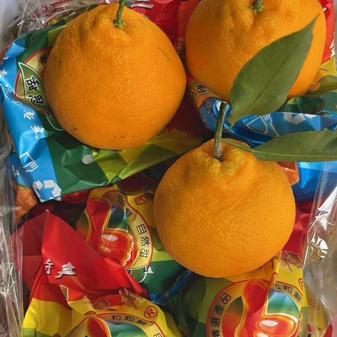 Frutexz- Jeruk Dekopon | Jeruk Sumo | Jeruk Kupas - 1Kg