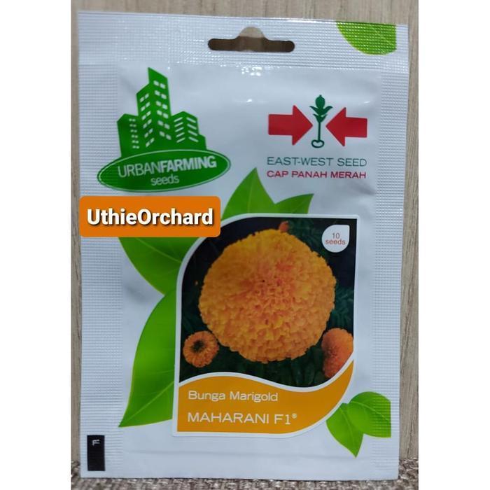 (Promo) Benih Panah Merah - Bunga Marigold Maharani F1 Bestseller