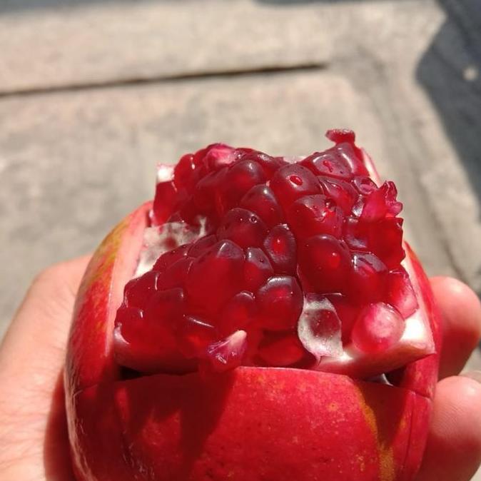 Frutexz- Buah Delima Import | Delima Impor Pomegranate -1Kg