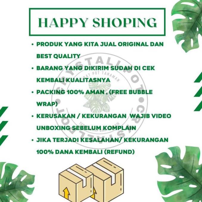 Gardendrm- Benih Bibit Cabai Rawit Bara Cap Panah Merah - Cabai Rawit Bara