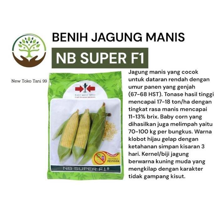 Benih jagung NB super F1 1750 butir benih jagung manis nbsuper dari panah merah jagung manis hibrida