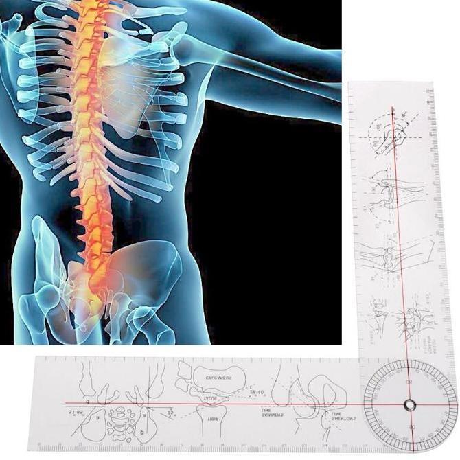 Goniometer Angle Spinal Ruler - Penggaris Goniometer