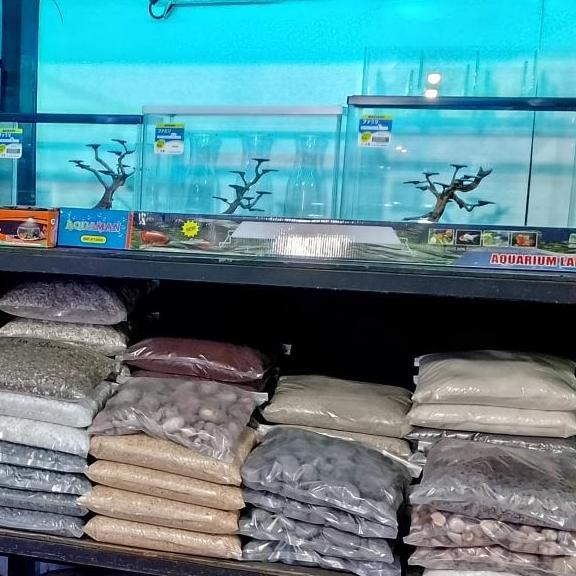 Bahari NBG L M S aquarium lengkung