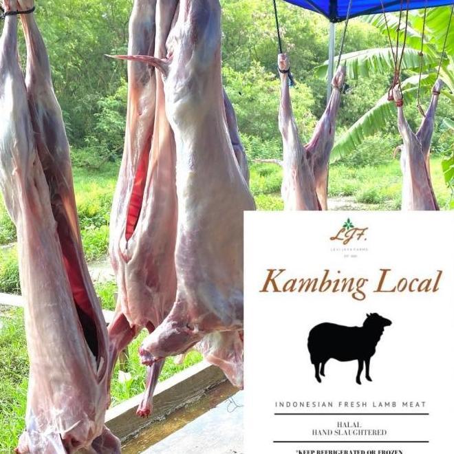 Terlaris Daging Kambing Fresh, Karkas Kambing Muda