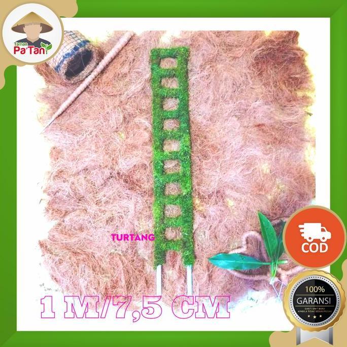 Turus Pipa Lumut motif tangga 1M/15cm