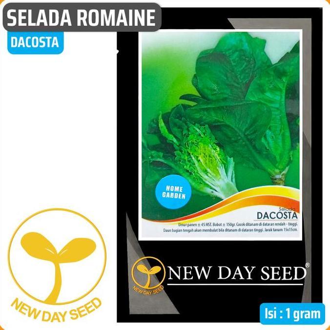 Gardensw- Selada Romaine Dacosta, 1 Gr | New Day Seed
