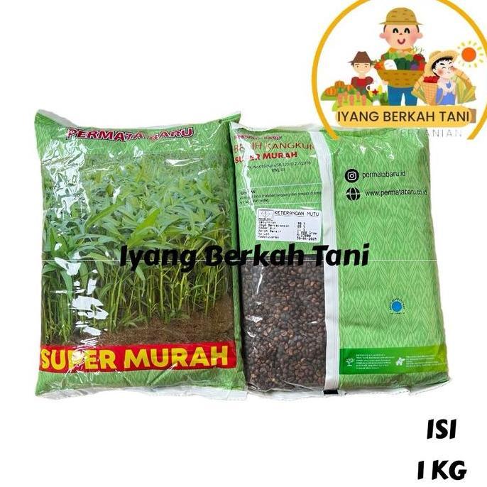 Gardensw- Benih Kangkung Super Murah Kemasan 1 Kg - Bibit Kangkung 1 Kg