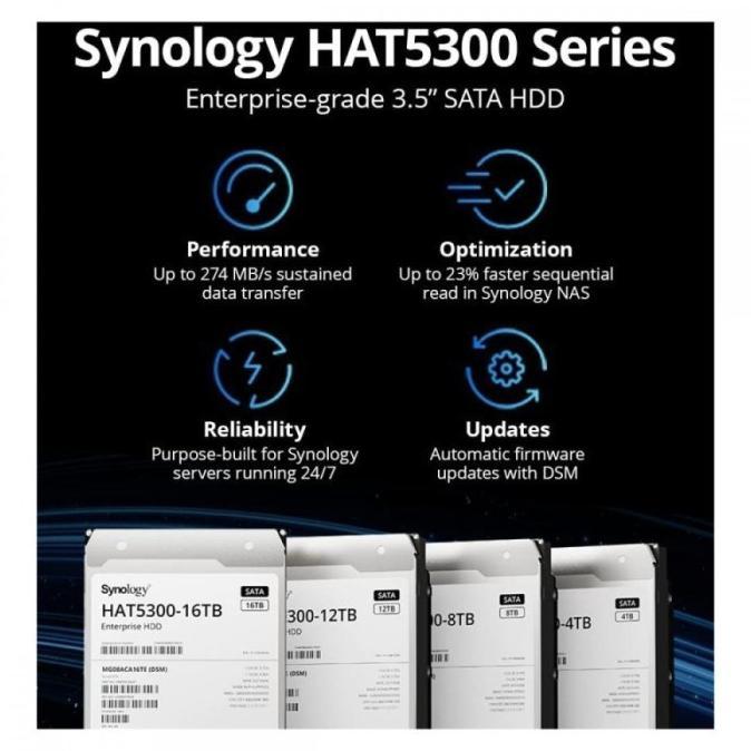 Synology Hat5320-4T 4Tb - Hdd Harddisk 3.5 Inch Sata Plus Series Nas