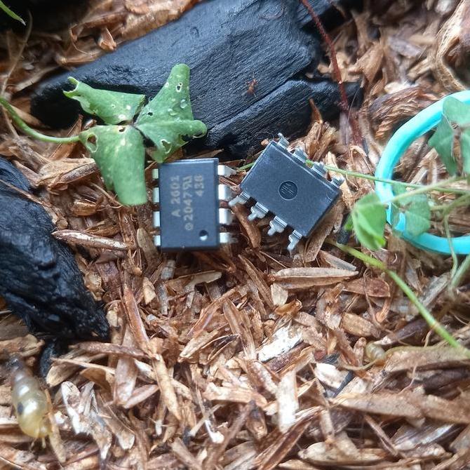 Yoiyoman- A2601 Hcpl2601 Orginal