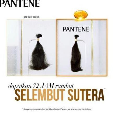Haircare- Pantene - Shampoo Rambut Anti Dandruff Ketombe | Anti Lepek Dan Rontok