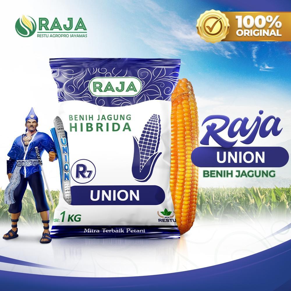 ARN Benih Jagung Raja R7 Union Hibrida 1kg