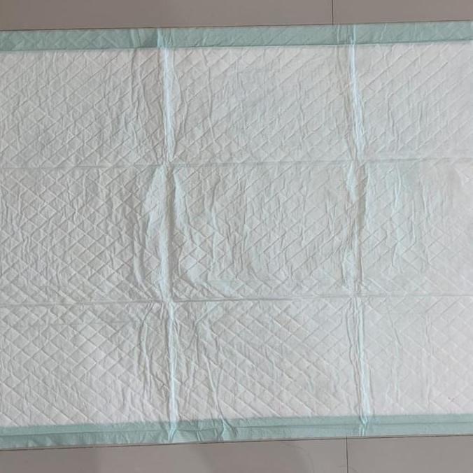 Terbaru Underpad Training Pad Potty Pad Tempat Alas Pipis Anjing/Kucing Besar