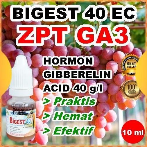 Tmn- Ga3 Bigest 40 Ec 10 Ml Hormon Giberelin Acid Zpt Tanaman Buah Anggur