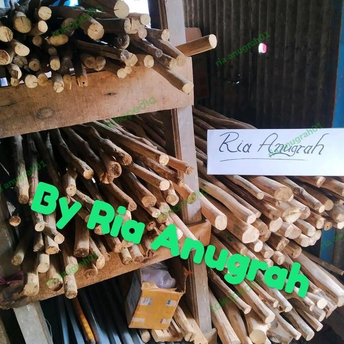 Tangkringan kayu kopi / tangkringan macaw