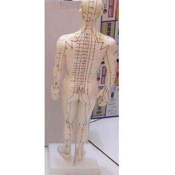 Medikit- Patung Akupuntur Model Pria / Boneka Titik Titik Akupuntur
