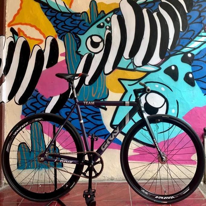 Frameset GRAY team polos alloy fixie