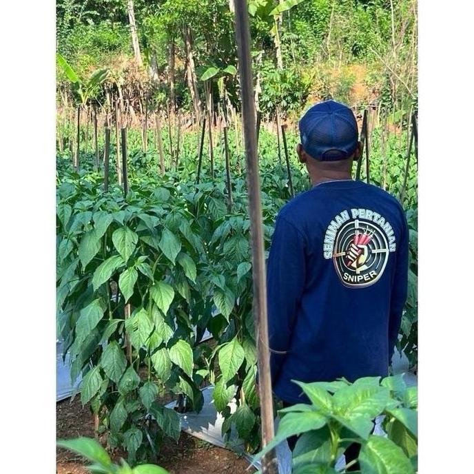 BUKU SAKTI SENIMAN PERTANIAN - Panduan Lengkap Budidaya Cabe Segala Varietas - Belum Ada Selengkap I