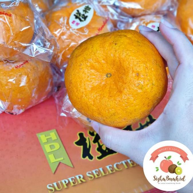 JERUK PONKAM HDL | PONKAM HDL SUPER MANIS | JERUK MADARIN JUMBO - HONEY MANDARIN IMPORT LJ