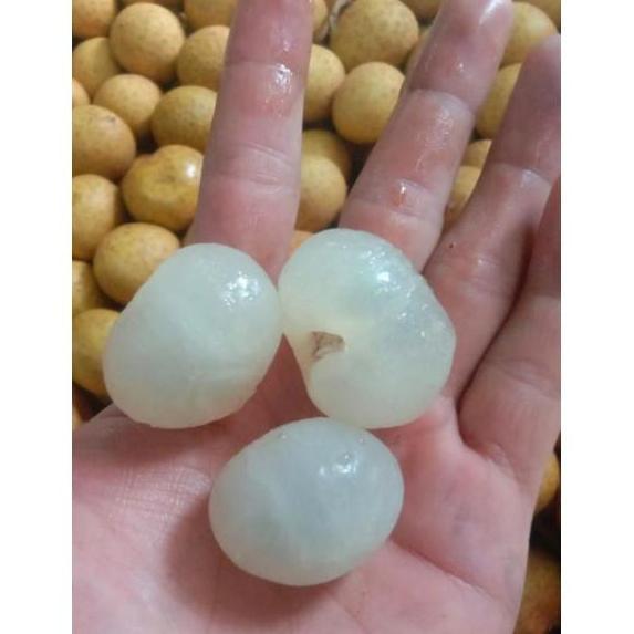 Kelengkeng bangkok gold 1kg