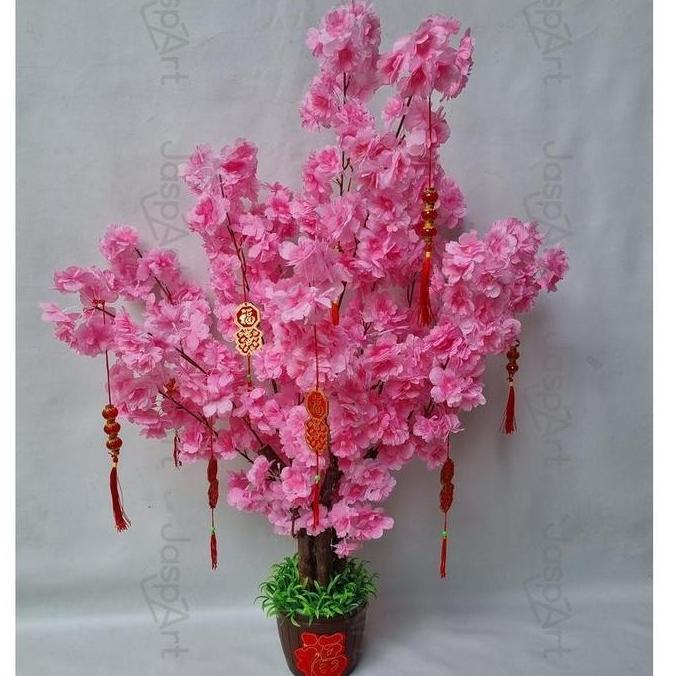 @#@#@#] POHON SAKURA JEPANG MEI HUA SIZE BESAR POHON SAKURA MEI HUA PREMIUM 1 METER POHON IMLEK BUNG
