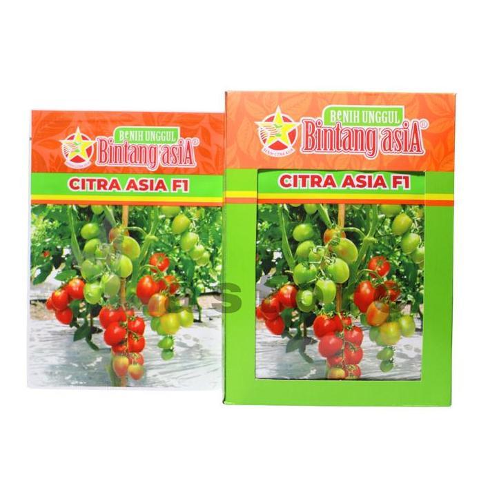 Benih Tomat Citra Asia F1 5 Gram Benih Bintang Asia