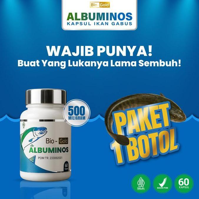 Bisasehat- Kapsul Albuminos Bio Gold Ekstrak Ikan Gabus Albumin Asli Ikan Gabus