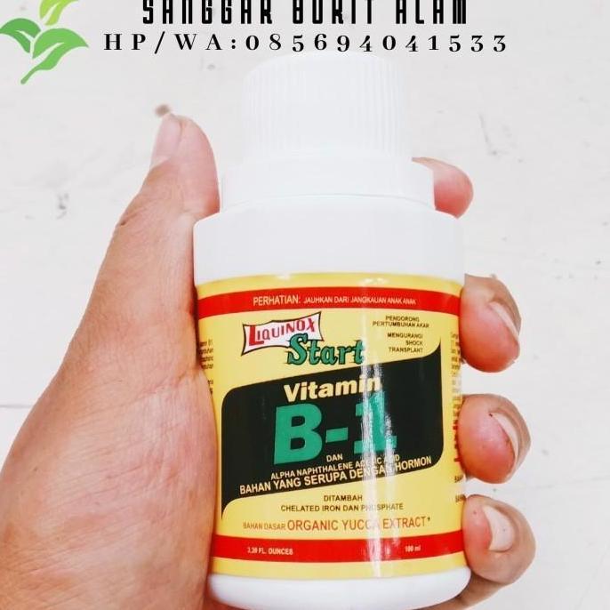 Silvergarden- Pupuk Vit B1 Vitamin Tanaman - B1 Liquinox Obat Penumbuh Akar Tanaman