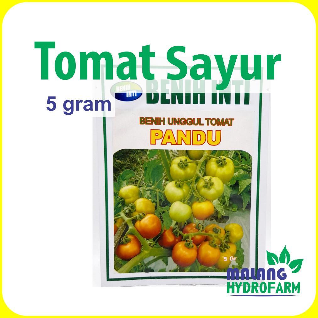 Benih Tomat Sayur Pandu 5 gram Inti dataran tinggi sedang rendah buah bibit servo hidroponik hydropo