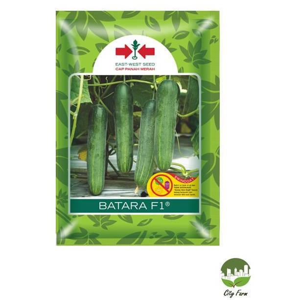 Benih Timun Batara SP (150 Butir) Panah Merah