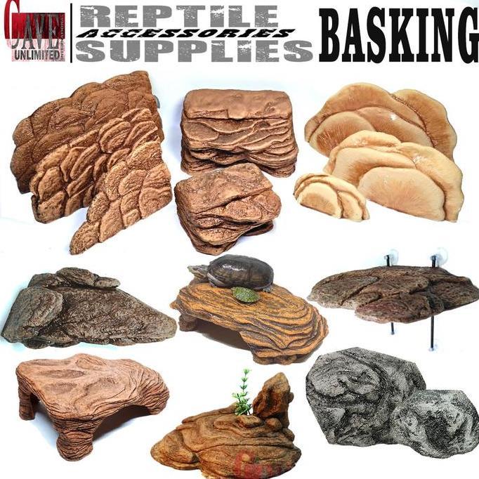 Basking Tempat Berjemur Kura-Kura Darat Sulcata Kura Kura Air Brazil Tangkringan Kadal Lizard Bearde