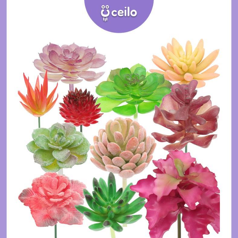 best sale ceilo  sukulen mini artificial tanpa pot | kaktus sukulen artificial | sukulen plastik | c