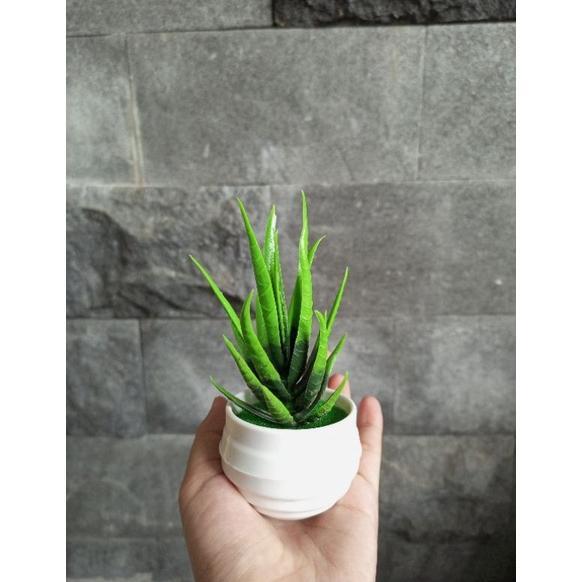 big promo (cod) bunga kaktus hias mini lidah buaya artificial sukulen mini