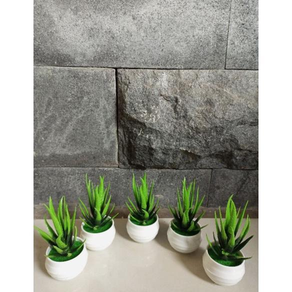 HOT PRODUCT (COD) BUNGA KAKTUS HIAS MINI LIDAH BUAYA ARTIFICIAL SUKULEN MINI
