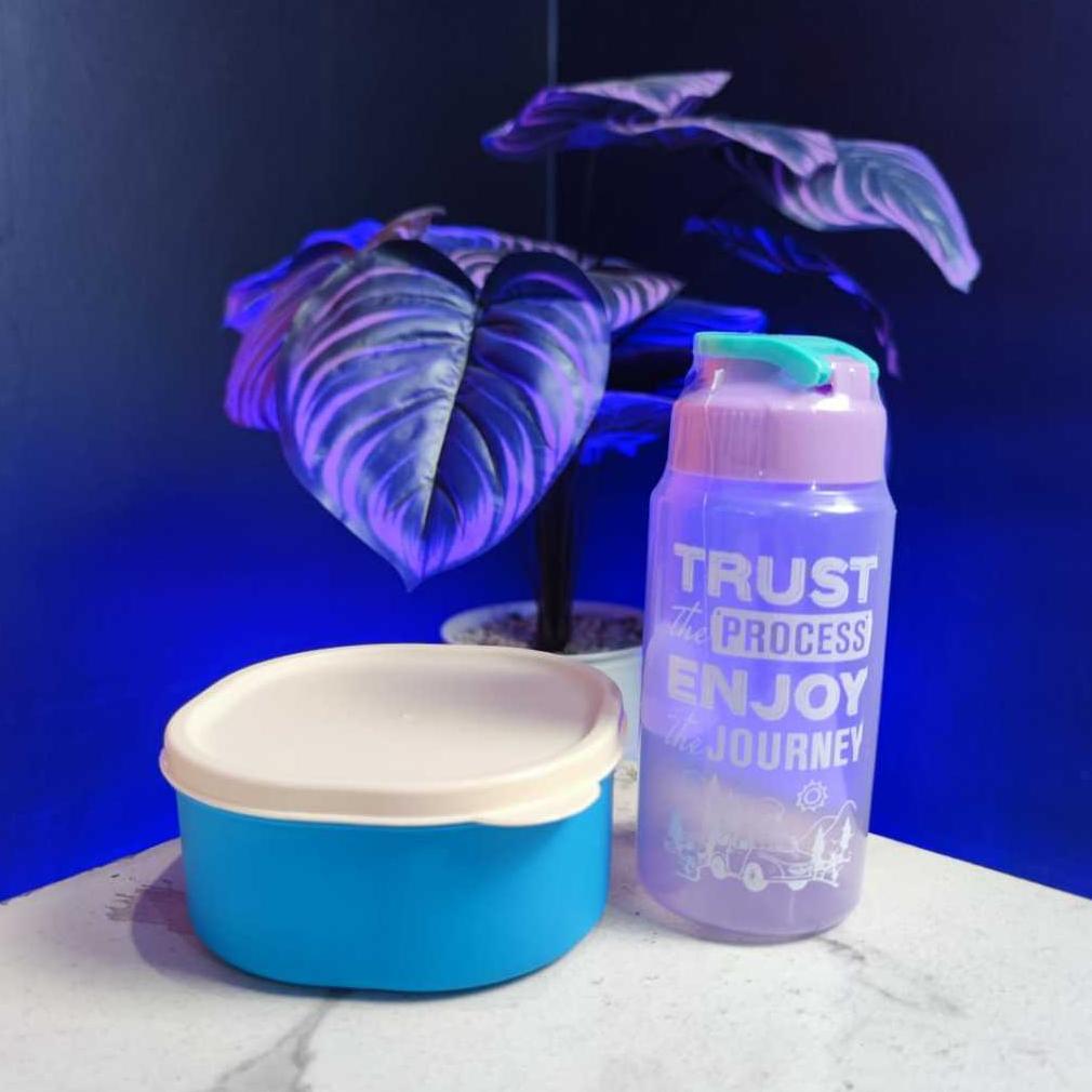 Big Promo Kotak Makan Mini Kecil Anak 500 Ml Lunch Box Wadah Bekal Cemilan Snack Bayi Lucu Tepak+Bot