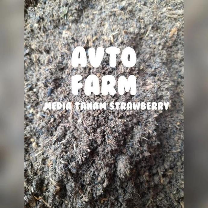 media tanam strawberry siap pakai -5kg