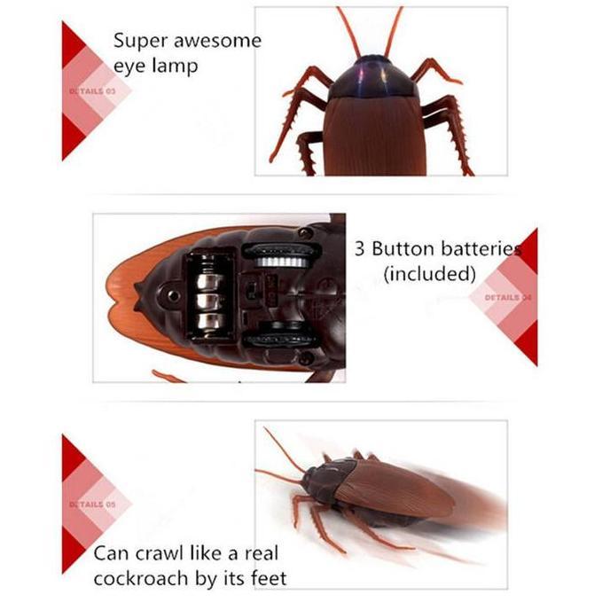Kecoa Remote Prank Mainan Kucing Kuat Tahan Lama