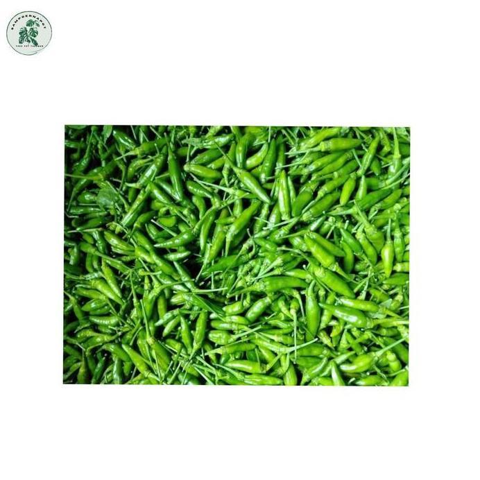 Benih Bibit Cabe Rawit Rajo Cap Panah Merah - CABAI RAWIT RAJO EAST WEST SEED