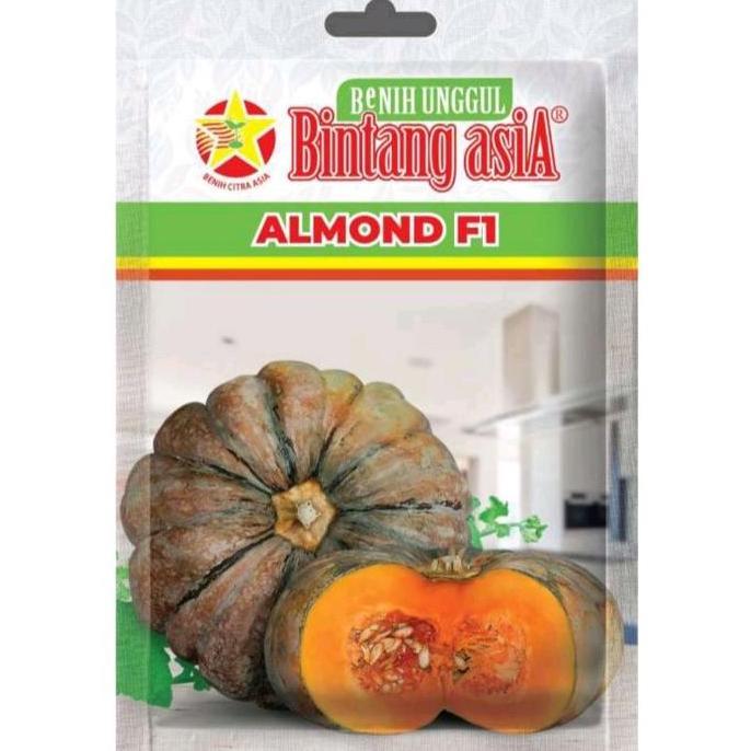 Labu Almond F1 isi 1,5gram - Bintang Asia - Benih Tanaman unggul Labu Kuning